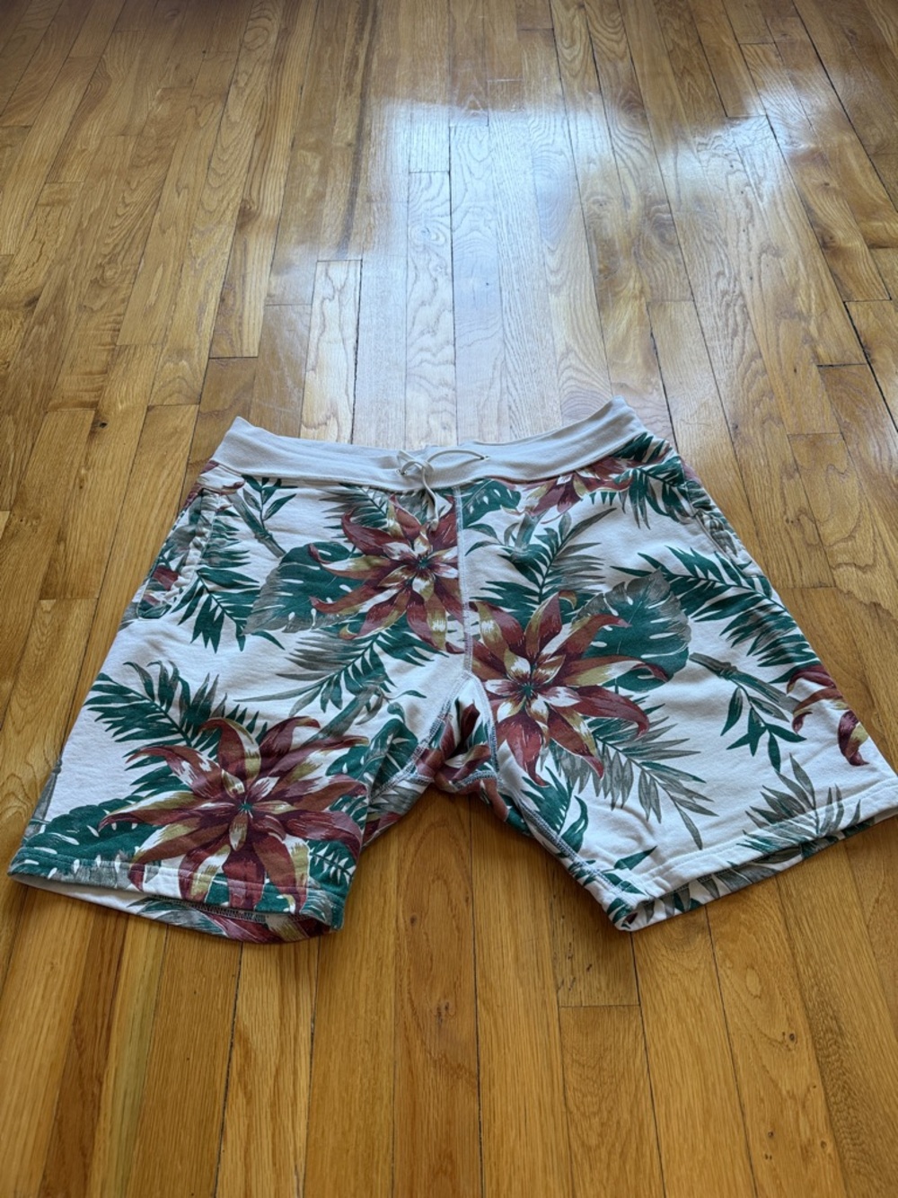 Supreme Floral Tropical Shorts in Green and Red on Cream
